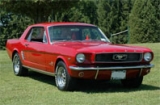 mustang